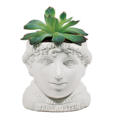 jane, austen, planter, wv9vhod01