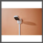 thumbnail - 2