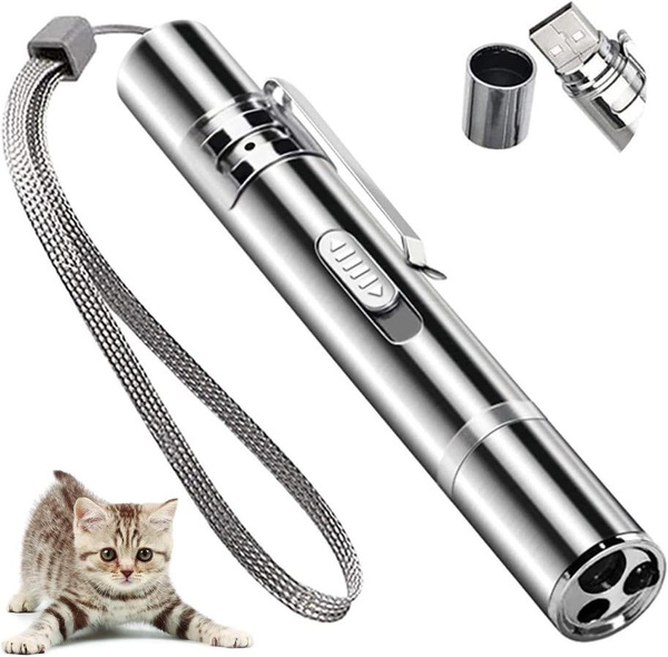 Chasing Toys For Puppies Chasing Toys For Puppies