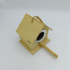 Wooden, house, Bird