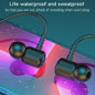 thumbnail - 3