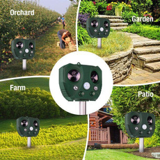Outdoor, Mouse, Solar, Animal