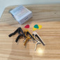 thumbnail - 3