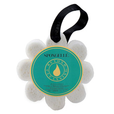 Sponges, bathsponge, beautypersonalcare, bathingaccessorie