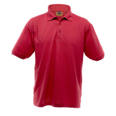 Shorts, Shirt, Sleeve, Shoes Accessories