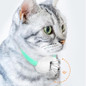 thumbnail - 3
