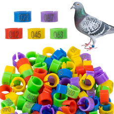8MM, gamefowlsupplie, legbandsforchicken, Jewelry