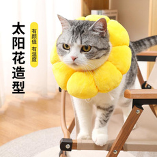 Head, Jewelry, Sunflowers, Pets