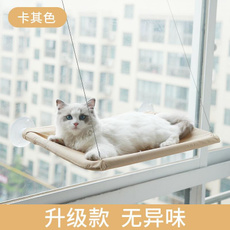 Pets, Cats, hammock, Cup