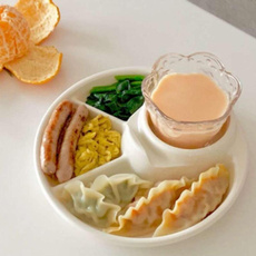 Control, Plates, Picnic, portable