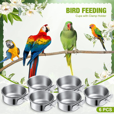 Box, Stainless, Jars, Bird