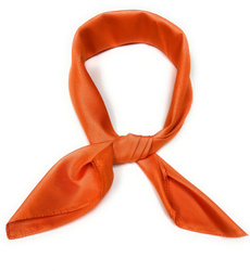 Scarves, Fashion, Necks, chiffon