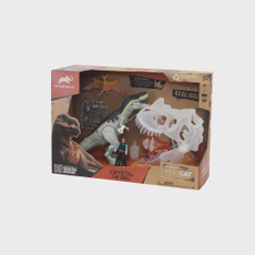 Box, Crystal, Home Decor, skull
