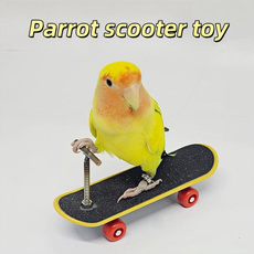 Tiger, Toy, Skateboard
