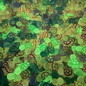thumbnail - 6