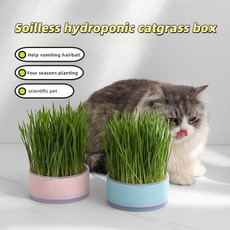 Pets, Grass, Cats