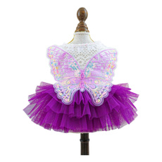 butterfly, Fashion, Lace, Pets