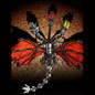 thumbnail - 1
