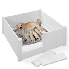 Box, Pets, Pen, Dogs