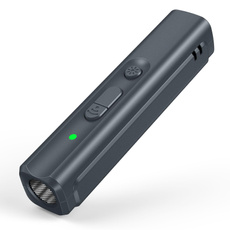 Flashlight, Pets, Tool, Dogs