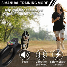 Pets, Collar, Dogs