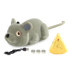 Toy, mousetoy, Kitten, Indoor