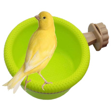 Pets, water, bathtub, Bird