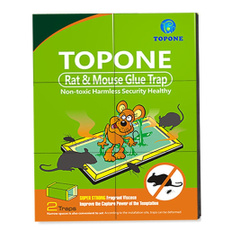 mousetrapsmousetrapsindoormousetrapsin, Mouse