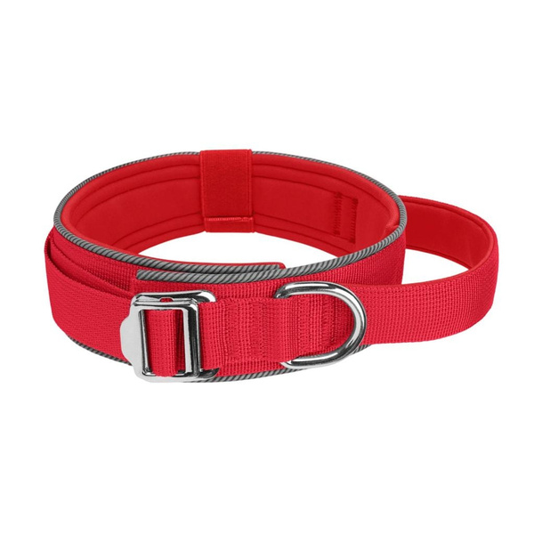 Photo inspiration: Strong Wish Collar For Enthusiastic Behaviors Reference: Light Reflective Pet Collar Adjustable For Dog Night Walks Wide