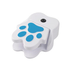 Toy, Pets, Dogs, water