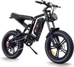 electricbike, fattire, commuter, cruiser