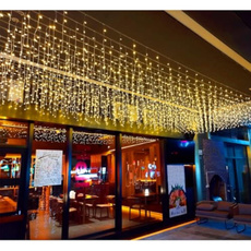 Outdoor, seasonallighting, Christmas, seasonaldécor